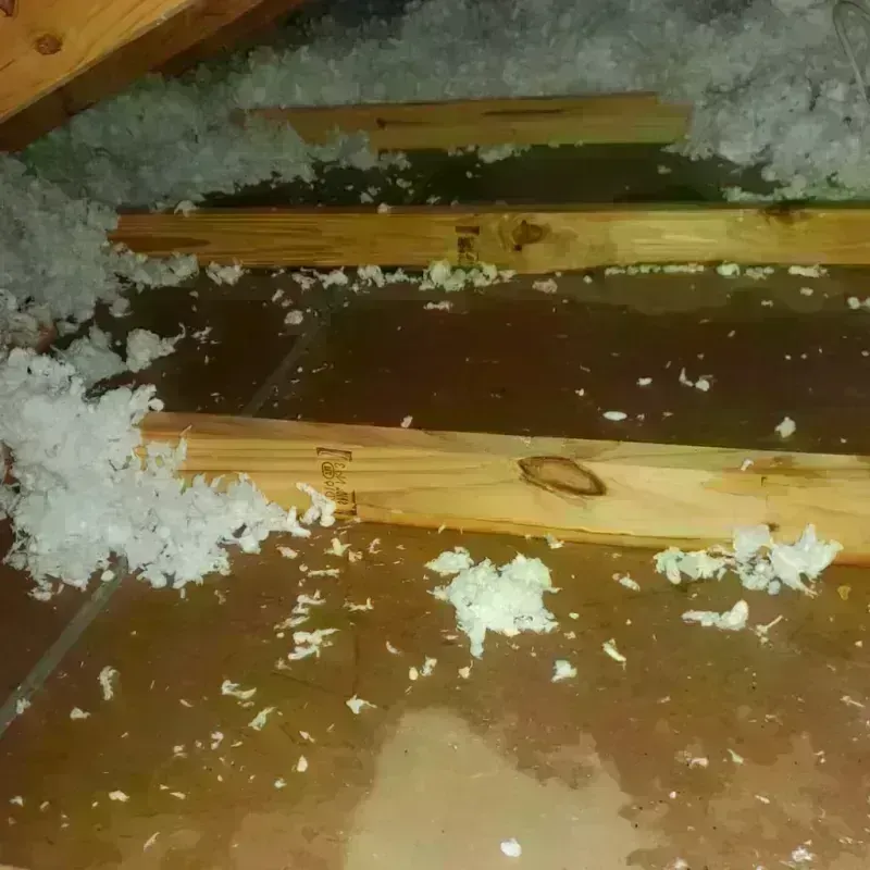 Attic Water Damage in Hebron, ME